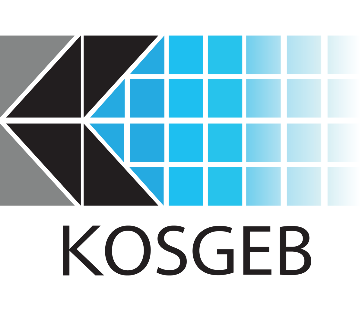 kosgeb-logo